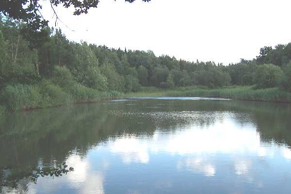 Soukrom revr - rybnk "U Jejkala" v NP Podyj, monost rybolovu